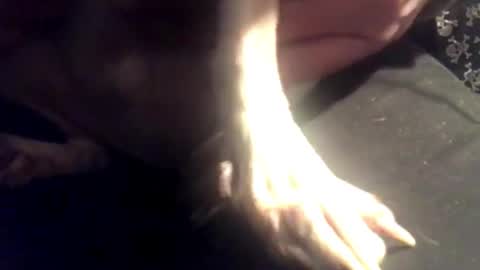 zero online show from 03/07/25, 08:13