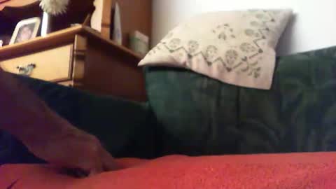 Snapshot of zevioo77 chatting on 09/14/25, 08:30 zevioo77 online show from 09/14/25, 08:30