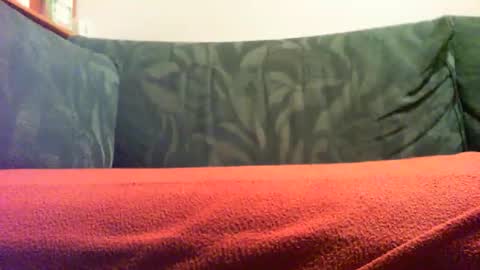 Snapshot of zevioo77 chatting on 09/18/25, 08:11 zevioo77 online show from 09/18/25, 08:11