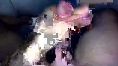 zezin1 online show from 09/19/25, 03:30