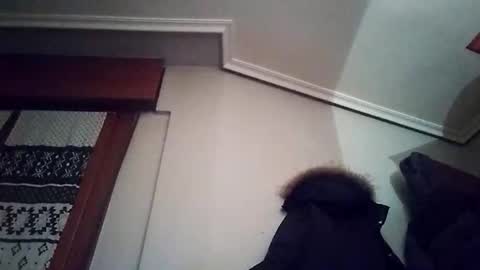 Snapshot of zigor13 chatting on 02/04/26, 09:31 zigor13 online show from 02/04/26, 09:31