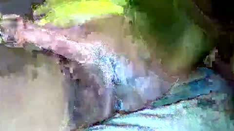 zimzim_ online show from 10/31/25, 11:06