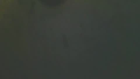 zomma44 online show from 05/27/26, 03:03