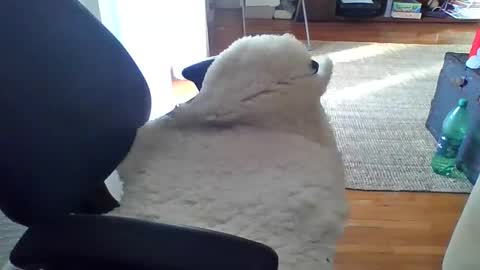 zyggy87 online show from 02/23/26, 06:55