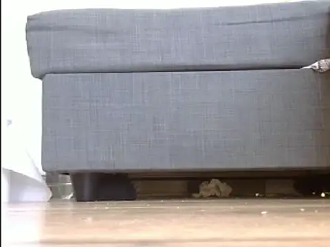 Squirtlady38 online show from 03/20/25, 10:54