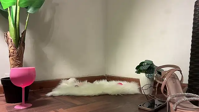 Snapshot of valeria_lokitasexy chatting on 02/02/26, 03:16 valeria lokitasexy online show from 02/02/26, 03:16