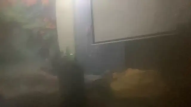 Snapshot of Fr4nk1eFFuxxx chatting on 03/14/26, 09:48 Fr4nk1eFFuxxx online show from 03/14/26, 09:48