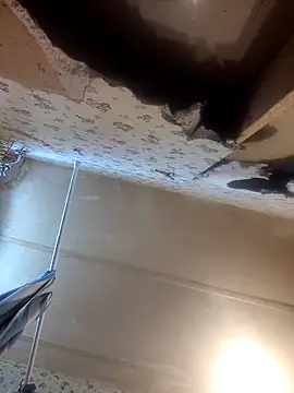 Snapshot of AshleyDalton101 chatting on 03/29/26, 06:08 AshleyDalton101 online show from 03/29/26, 06:08