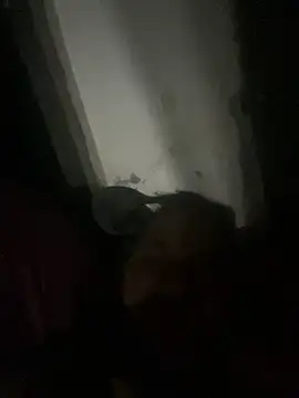 punhetaba online show from 02/24/26, 03:48