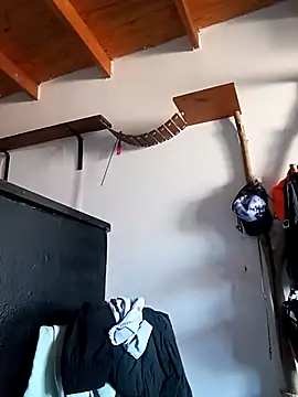 Snapshot of vikingbeard648 chatting on 02/21/25, 11:11 vikingbeard648 online show from 02/21/25, 11:11