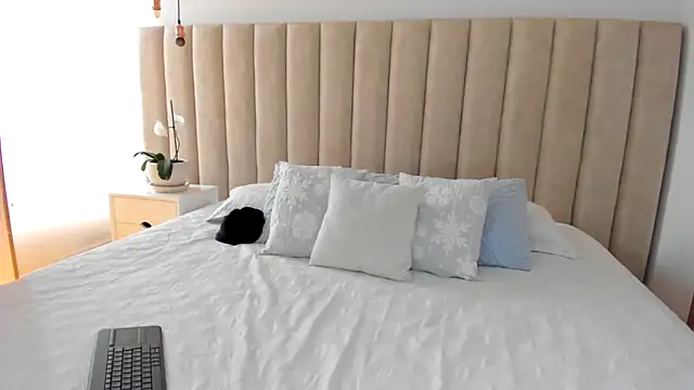 dara   online show from 02/01/25, 08:26