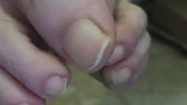 curiosillo83 online show from 06/02/26, 02:35