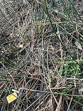 Snapshot of Yurt000 chatting on 09/16/25, 04:57 Yurt000 online show from 09/16/25, 04:57