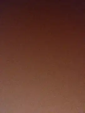 pinaxpack1 online show from 11/03/25, 04:03