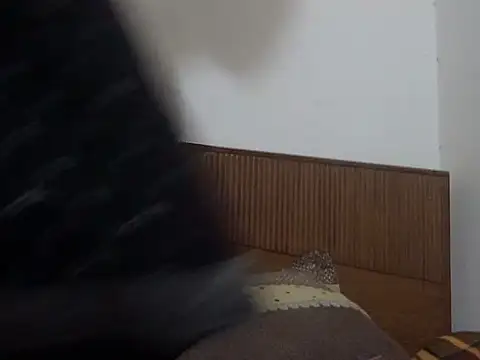 Snapshot of shekira99 chatting on 03/01/26, 01:57 shekira99 online show from 03/01/26, 01:57