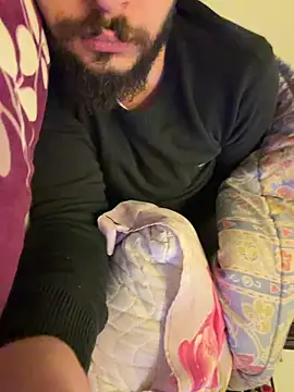 Snapshot of BigEgyptianDiick chatting on 02/11/26, 12:26 BigEgyptianDiick online show from 02/11/26, 12:26