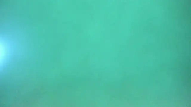 Harleysexycrazy online show from 12/12/24, 04:04