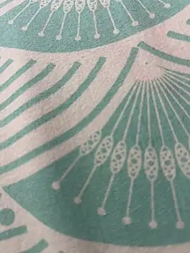 Snapshot of kannadatelugugirl chatting on 01/01/25, 03:13 kannadatelugugirl online show from 01/01/25, 03:13