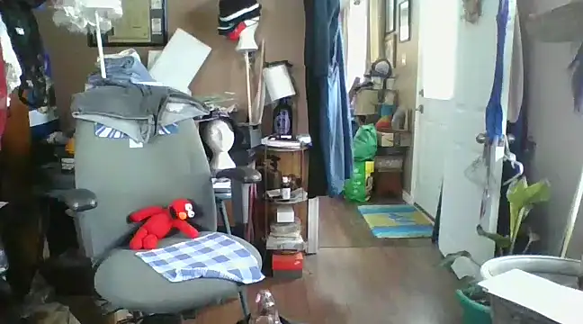 Daremeknot online show from 12/05/24, 03:28