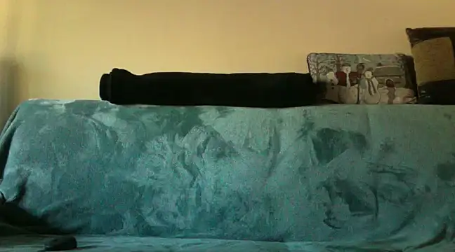 Snapshot of spicylaboi chatting on 12/07/24, 04:03 spicylaboi online show from 12/07/24, 04:03