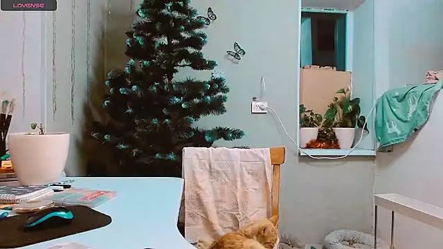 Snapshot of RosaJil chatting on 12/17/24, 03:06 RosaJil online show from 12/17/24, 03:06