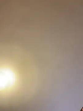 Snapshot of asianmama888 chatting on 02/24/26, 12:41 asianmama888 online show from 02/24/26, 12:41