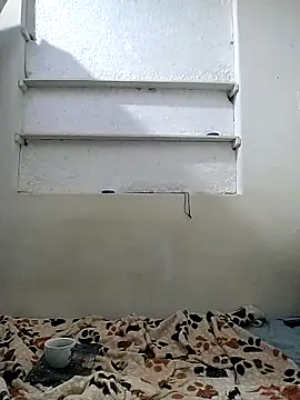 Cameron puppy online show from 04/29/26, 01:59