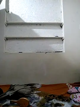 Cameron puppy online show from 05/01/26, 10:31
