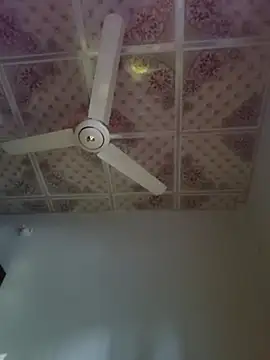 Dil-Ka-Radhika online show from 11/29/25, 01:41