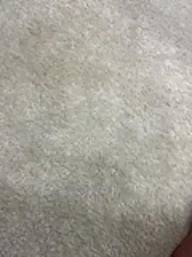 Snapshot of furkanktyAcalea chatting on 12/02/25, 08:37 furkanktyAcalea online show from 12/02/25, 08:37