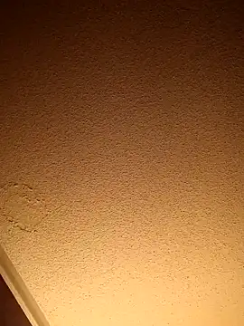 Snapshot of Treemandude chatting on 11/11/25, 04:40 Treemandude online show from 11/11/25, 04:40