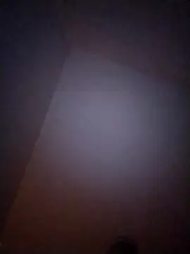 Snapshot of Treemandude chatting on 01/06/26, 10:08 Treemandude online show from 01/06/26, 10:08