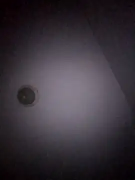 Snapshot of Treemandude chatting on 01/15/26, 11:04 Treemandude online show from 01/15/26, 11:04