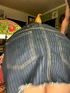 Snapshot of sexyasscougar chatting on 11/29/25, 04:04 sexyasscougar online show from 11/29/25, 04:04