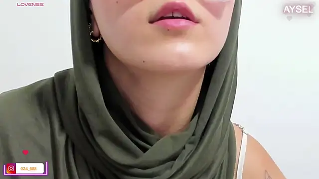 Snapshot of aysel_elid chatting on 01/04/25, 11:06 aysel elid online show from 01/04/25, 11:06