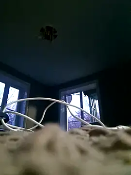 Snapshot of WhoreAnalsssxxx chatting on 03/31/26, 03:56 WhoreAnalsssxxx online show from 03/31/26, 03:56