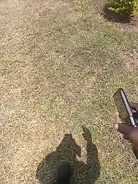 NattyDreadKenya online show from 07/29/26, 09:51