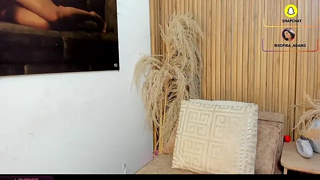 Snapshot of sofhiaa_adaams chatting on 02/20/26, 10:43 sofhiaa adaams online show from 02/20/26, 10:43