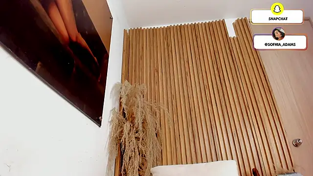 Snapshot of sofhiaa_adaams chatting on 03/08/26, 03:54 sofhiaa adaams online show from 03/08/26, 03:54