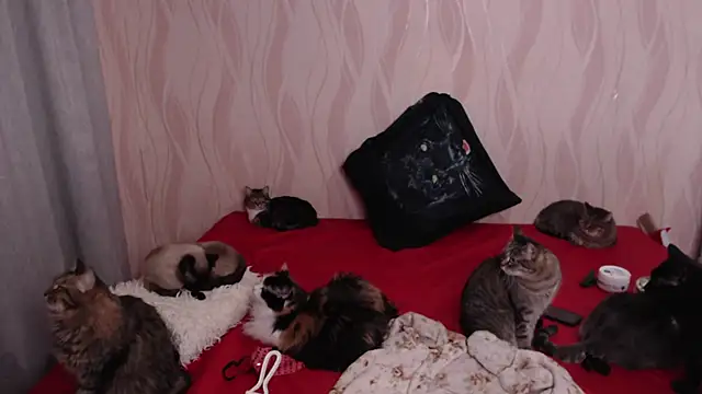 Olivia Winston online show from 12/28/24, 09:40