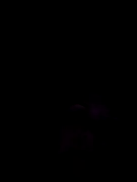 stellaquinn1775 online show from 04/08/26, 12:49