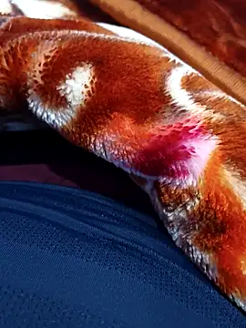 ak007 desire online show from 12/15/25, 04:00