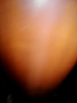 Snapshot of BlackPharoah91 chatting on 05/16/26, 04:20 BlackPharoah91 online show from 05/16/26, 04:20