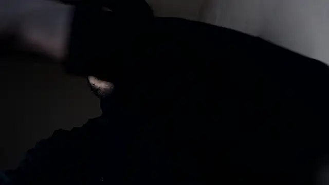 Snapshot of henryaxe chatting on 01/17/26, 09:47 henryaxe online show from 01/17/26, 09:47