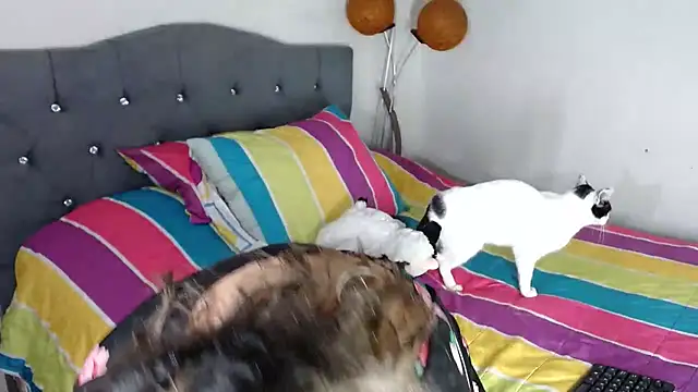 Snapshot of Chantal_hott chatting on 10/18/25, 11:16 Chantal hott online show from 10/18/25, 11:16