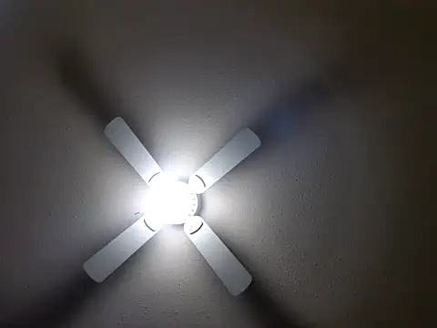 EXOTICLEXXXI online show from 01/26/25, 07:31