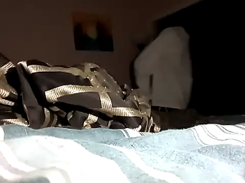 Snapshot of Blkstylion chatting on 11/01/25, 01:07 Blkstylion online show from 11/01/25, 01:07