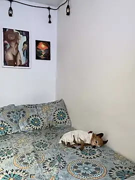 LiliJones  online show from 02/15/25, 05:50