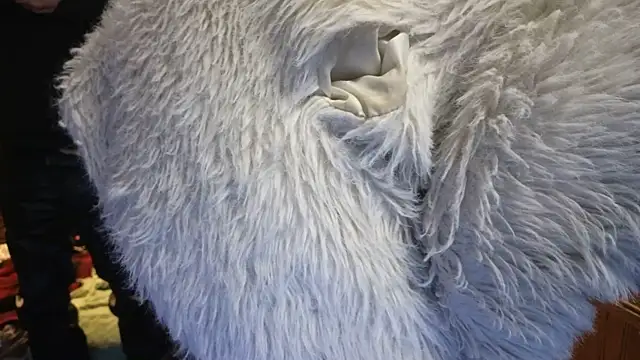 PropertyAndBiker online show from 02/14/25, 02:07