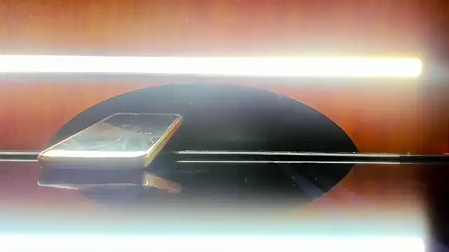 Snapshot of harly__queen chatting on 02/25/25, 06:42 harly queen online show from 02/25/25, 06:42